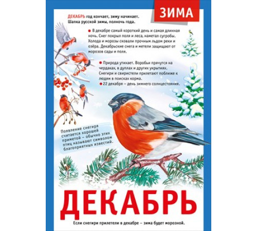 Мини-плакат Мини-плакат