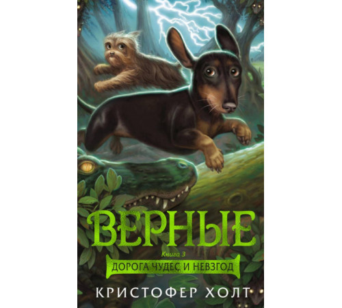 Foxcraft. Верные. Книга 3. Дорога чудес и невзгод