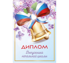Диплом выпускника начальной школы 15.22.02413