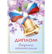 Диплом выпускника начальной школы 15.22.02413