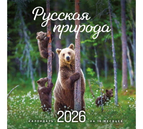 Русская природа. Календарь настенный на 16 месяцев на 2026 год (300х300 мм) Календари настенные 2026 (300х300), (2025)