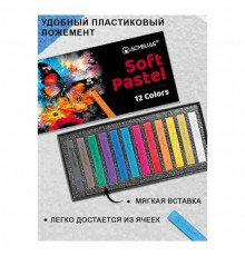 Сухая пастель 12 цветов ACMELIAE SPC-12