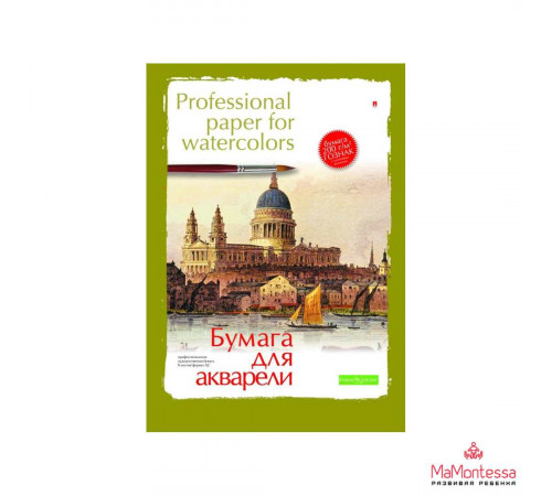 ПАПКА ДЛЯ АКРИЛА, ТЕМПЕРЫ И ГУАШИ А4 8Л.