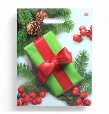 ТК.Пакет НГ прорубка 31*40=60 мкм -Калина в подарок