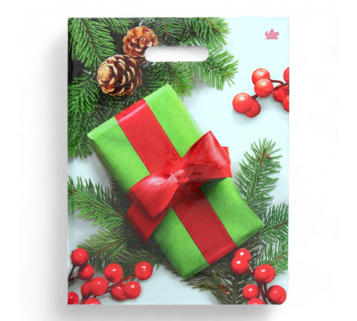 ТК.Пакет НГ прорубка 31*40=60 мкм -Калина в подарок