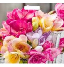 Пакет 38*45 =60 Цветочная симфония ВД Глянец  прор (50-500) №16