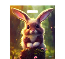 Пакет 38*45=60 Кроля Ламинат прор (50-500) №16