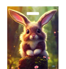 Пакет 38*45=60 Кроля Ламинат прор (50-500) №16