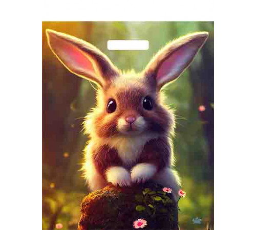 Пакет 38*45=60 Кроля Ламинат прор (50-500) №16