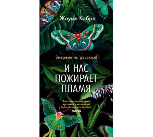 И нас пожирает пламя.