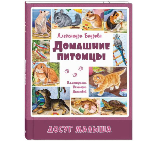 Домашние питомцы