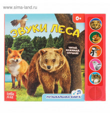Книжка с музыкальным чипом 