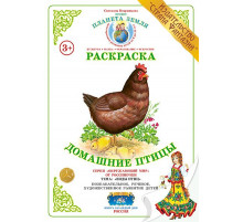 Раскраска -Домашние птицы- Р-13