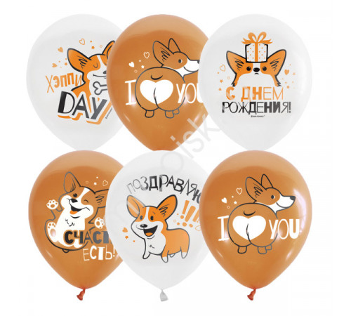 П.Воздушные шары Корги Бело/коричневый