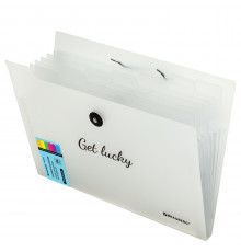 Оф.мПапка-органайзер на резинке 8 отделений, BRAUBERG 