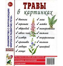 Травы в картинках. Наглядное пособие для логопедов, педагогов, воспитателей и родителей.
