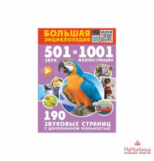 Большая энциклопедия. 501 звук и 1001 иллюстрация Куцаева Н.Г., Попова