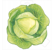 Плакат. КАПУСТА Империя поздравлений 29.477.00