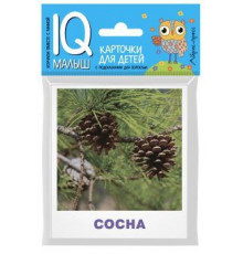 Умный малыш. Деревья  Малунова М.В.