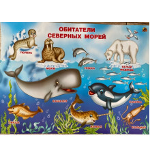 Обитатели северных морей (плакат)