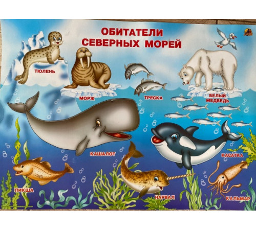 Обитатели северных морей (плакат) Обитатели северных морей (плакат)
