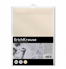 Бумага масштабно-координатная в пластиковой папке ErichKrause, А4, 20 листов