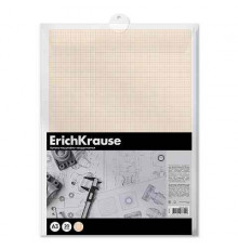 Бумага масштабно-координатная в пластиковой папке ErichKrause, А3, 20 листов