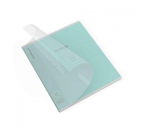 Тетрадь школьная ученическая с пластиковой обл. на скобе ErichKrause Классика CoverPrо fizzy, би