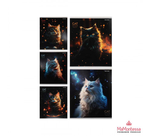 Тетрадь КЛЕТКА 48л. КОТИКИ И ОГОНЬКИ (48-5130) (глиттер, цвет.мелов.обл.)