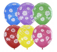 П.Воздушные шары Ромашки