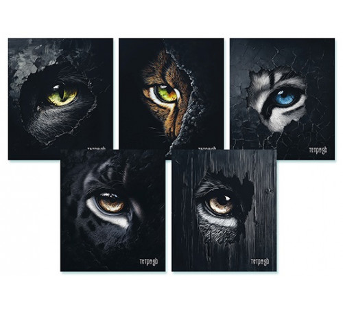 Тетрадь 48 л. кл. по сериям, выб. УФлак 