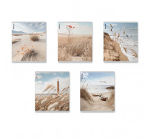 Тетрадь общая ученическая ErichKrause Pasifico, 48 листов, клетка, матовая ламинация_MIX-PACK