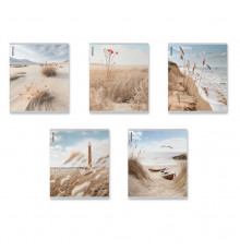 Тетрадь общая ученическая ErichKrause Pasifico, 48 листов, клетка, матовая ламинация_MIX-PACK