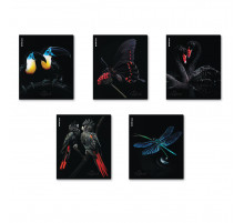 Тетрадь общая ученическая ErichKrause Attention, 48 листов, клетка, матовая ламинация+выборочный УФ-лак_MIX-PACK