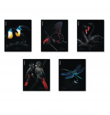 Тетрадь общая ученическая ErichKrause Attention, 48 листов, клетка, матовая ламинация+выборочный УФ-лак_MIX-PACK