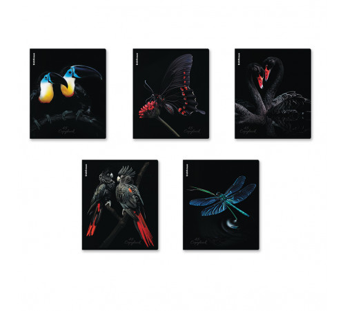 Тетрадь общая ученическая ErichKrause Attention, 48 листов, клетка, матовая ламинация+выборочный УФ-лак_MIX-PACK