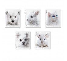 Тетрадь общая ученическая ErichKrause Whiteout, 48 листов, клетка, ламинация soft-touch+выборочный УФ-лак_MIX-PACK