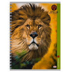 Тетрадь КЛЕТКА 48л. КОРОЛИ ЗВЕРЕЙ (48-4541) гребень, цвет.мелов.обл.