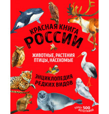 Красная книга России: все о жизни дикой природы