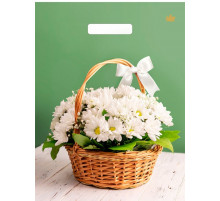 ТК.31*40=60 Идеальный подарок ВД Глянец прор (50/500) № 16