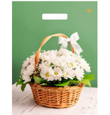 ТК.31*40=60 Идеальный подарок ВД Глянец прор (50/500) № 16