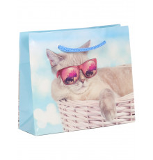 Пакет подарочный с глянц. лам. (горизонтальный)  15х12х5 см  (S) Котик на отдыхе, 157 г ППК-7549
