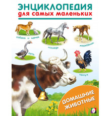 Книжки в мягкой обложке - Раннее развитие. Энциклопедии для самых маленьких. Домашние животные