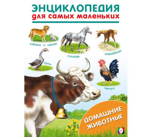 Книжки в мягкой обложке - Раннее развитие. Энциклопедии для самых маленьких. Домашние животные