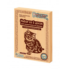 Доски для выжигания «Без рисунка. Для собственных идей», 5шт