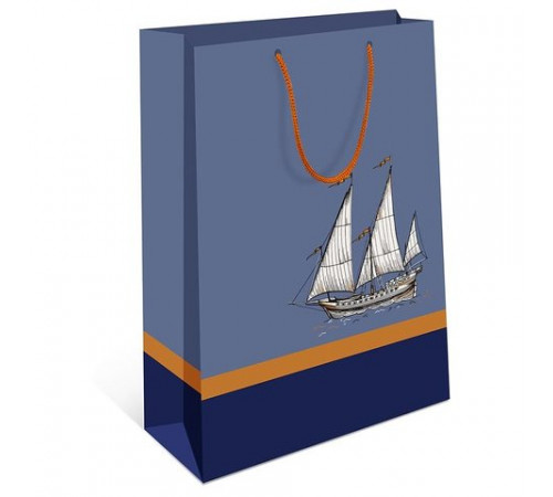 0291.598 Сумка подарочная 11х14см