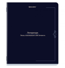 Тетрадь предметная VINTAGE 48 л., SoftTouch, ЛИТЕРАТУРА, линия, подсказ, BRAUBERG, 405156