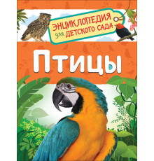 Гальцева С.Н. Птицы (Энциклопедия для детского сада)