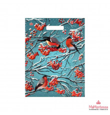 Пакет НГ прорубка ламинат 31*40=60 