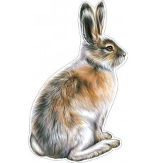 Плакат-мини в ассортименте.